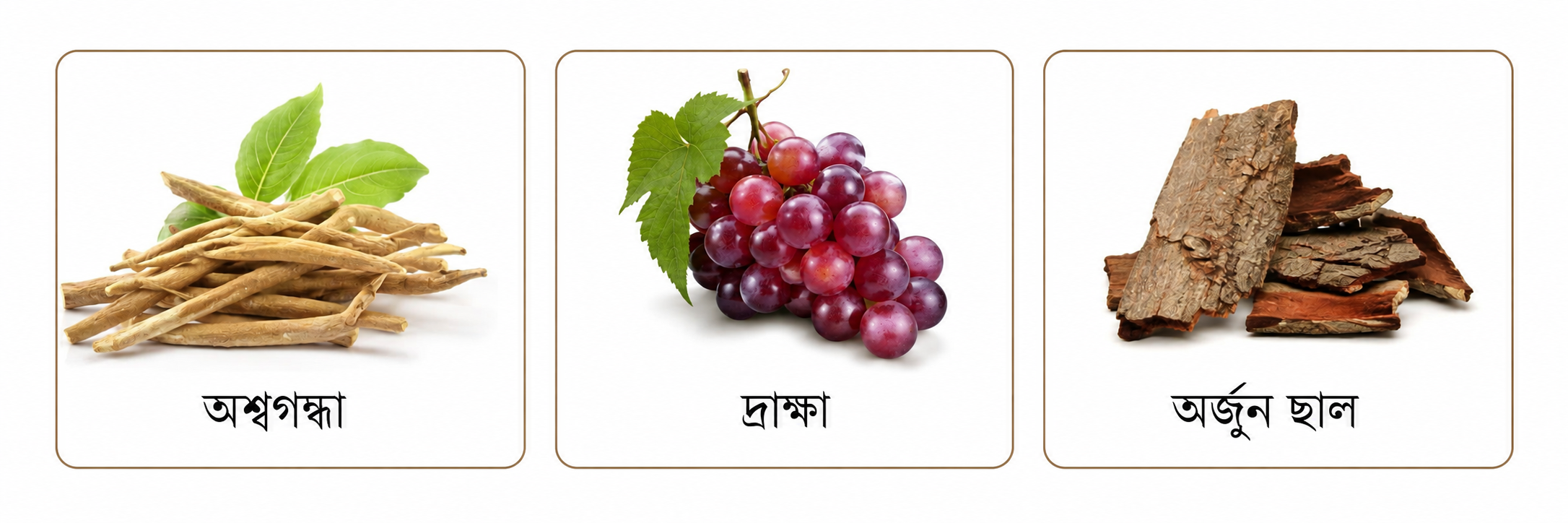 Shaktibal Herbal Syrup
