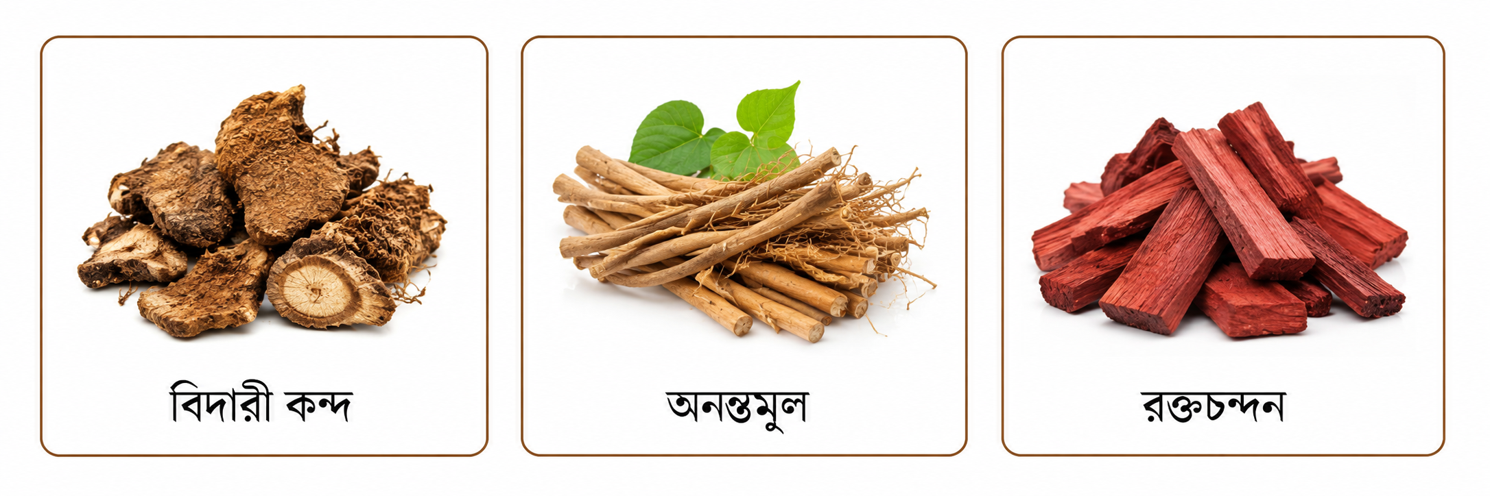 Shaktibal Herbal Syrup